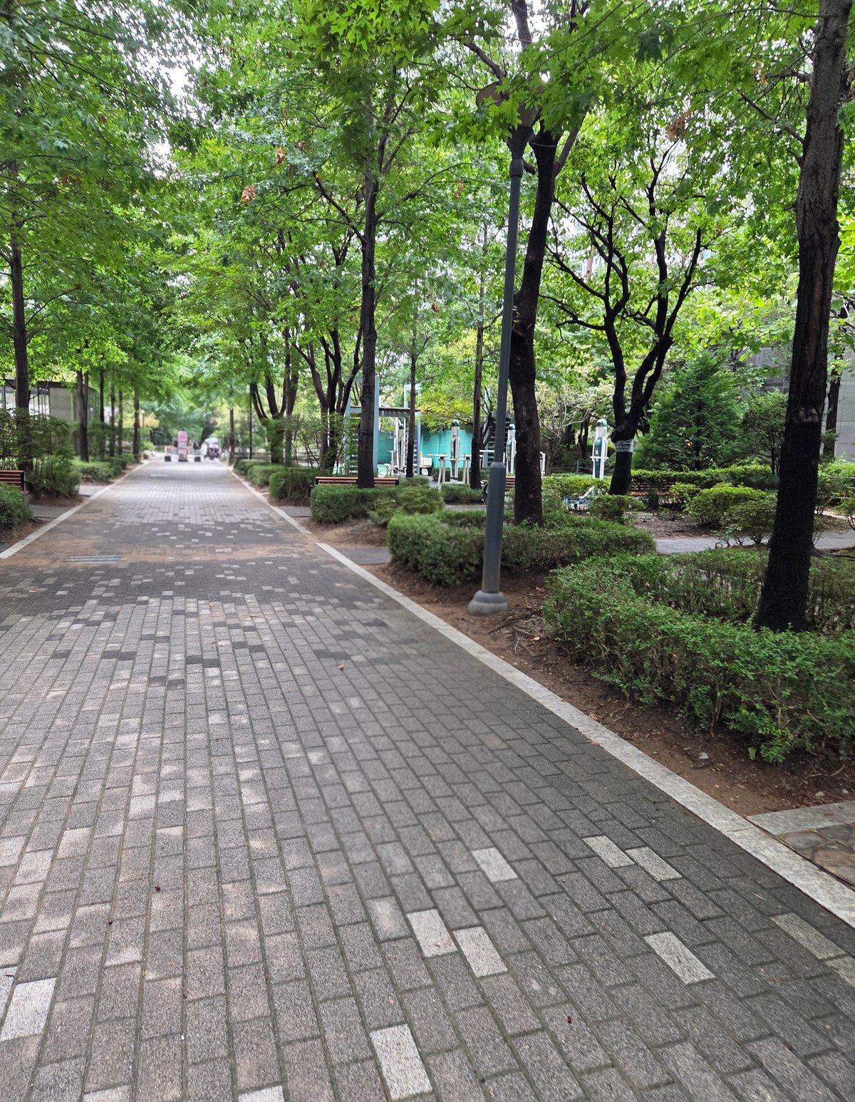 파크리오 가로수 우거진 단지 보행로